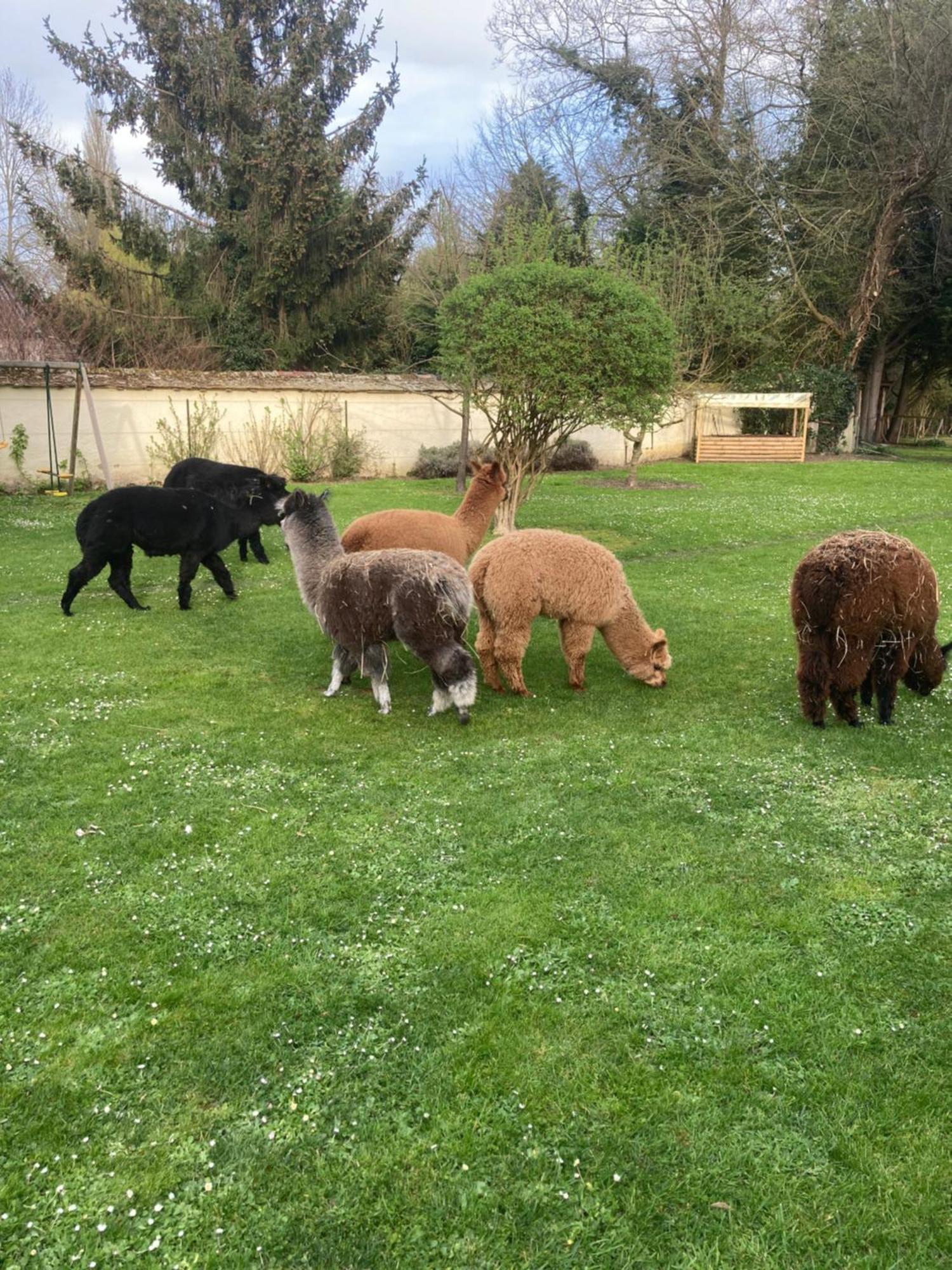 L'Oreade Amfreville-sur-Iton Esterno foto