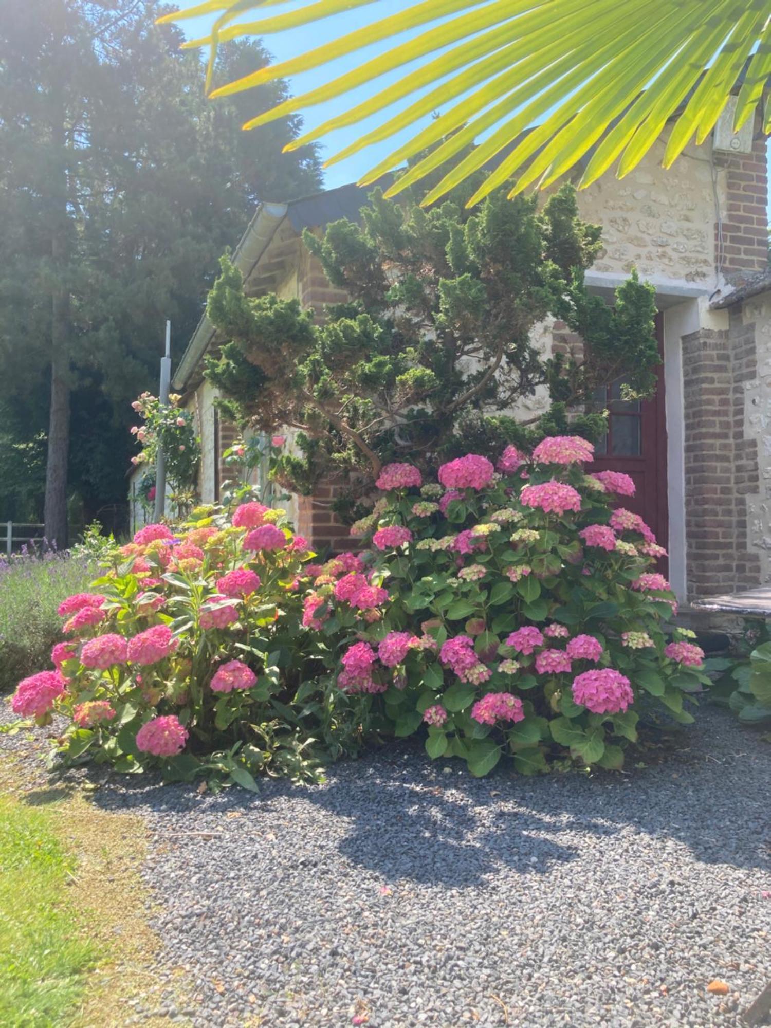 L'Oreade Amfreville-sur-Iton Esterno foto